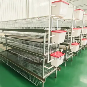 Chicken Cage H-Shape