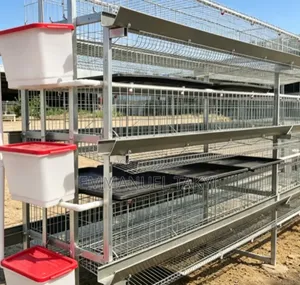 Chicken Cage H-Shape