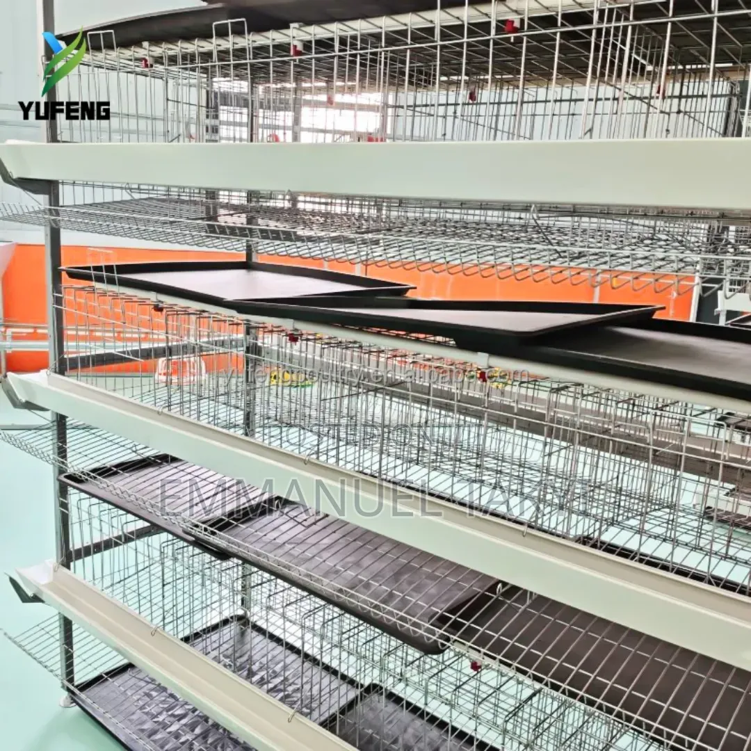 Chicken Cage H-Shape