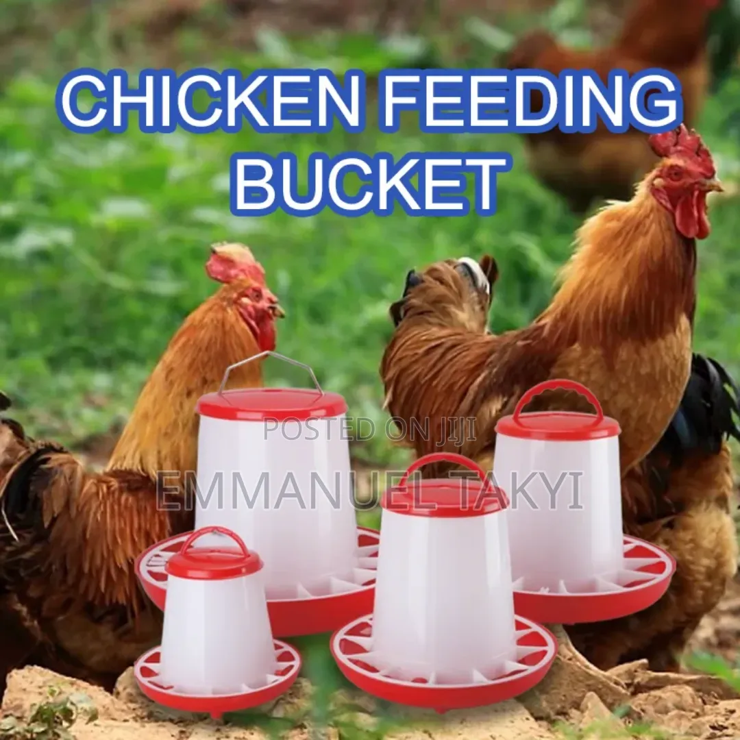Chicken Feeder