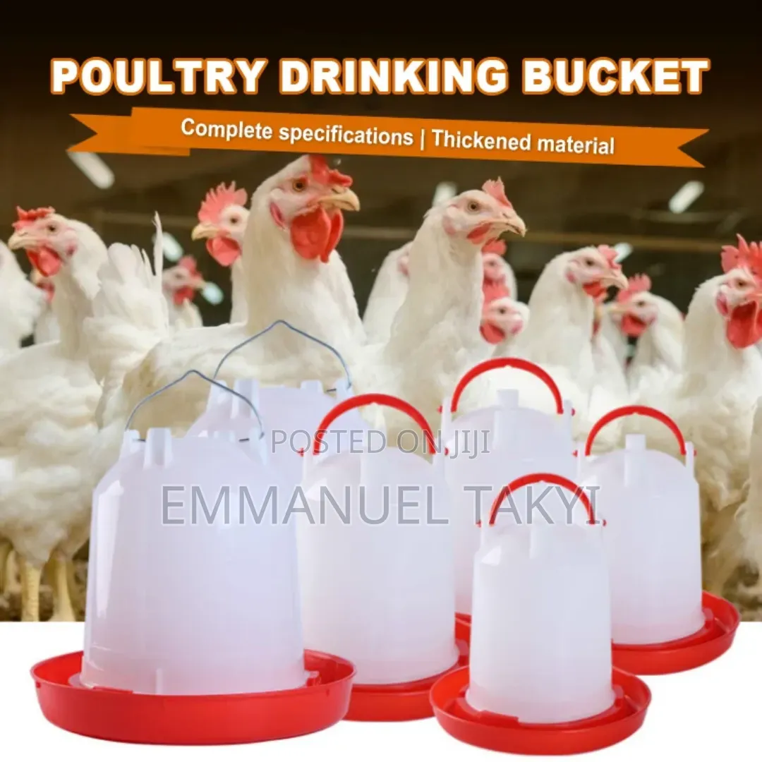 Chicken Feeder