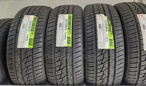 255/55zr19 Delinte Ds8 Desert Storm Ii 111w Xl SUV Tyre