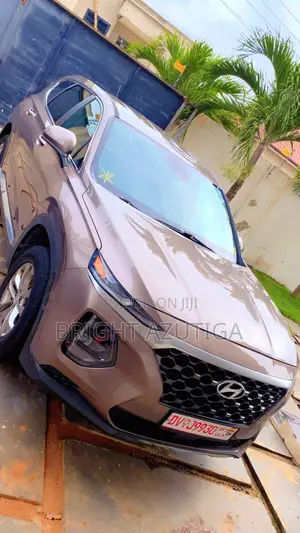 Hyundai Santa Fe 2019 Gold