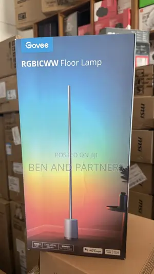 Govee Rgbicww Floor Lamp