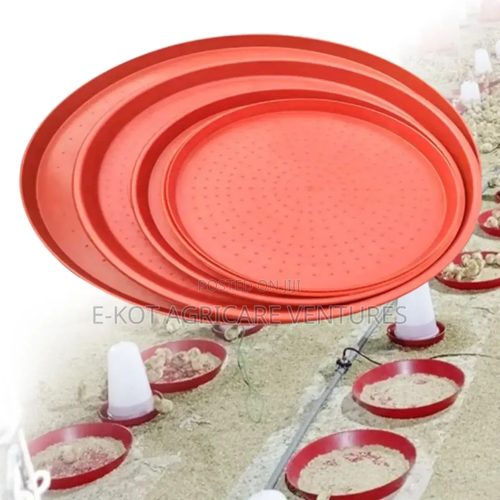 Chicken Feeder Trays