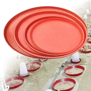 Chicken Feeder Trays
