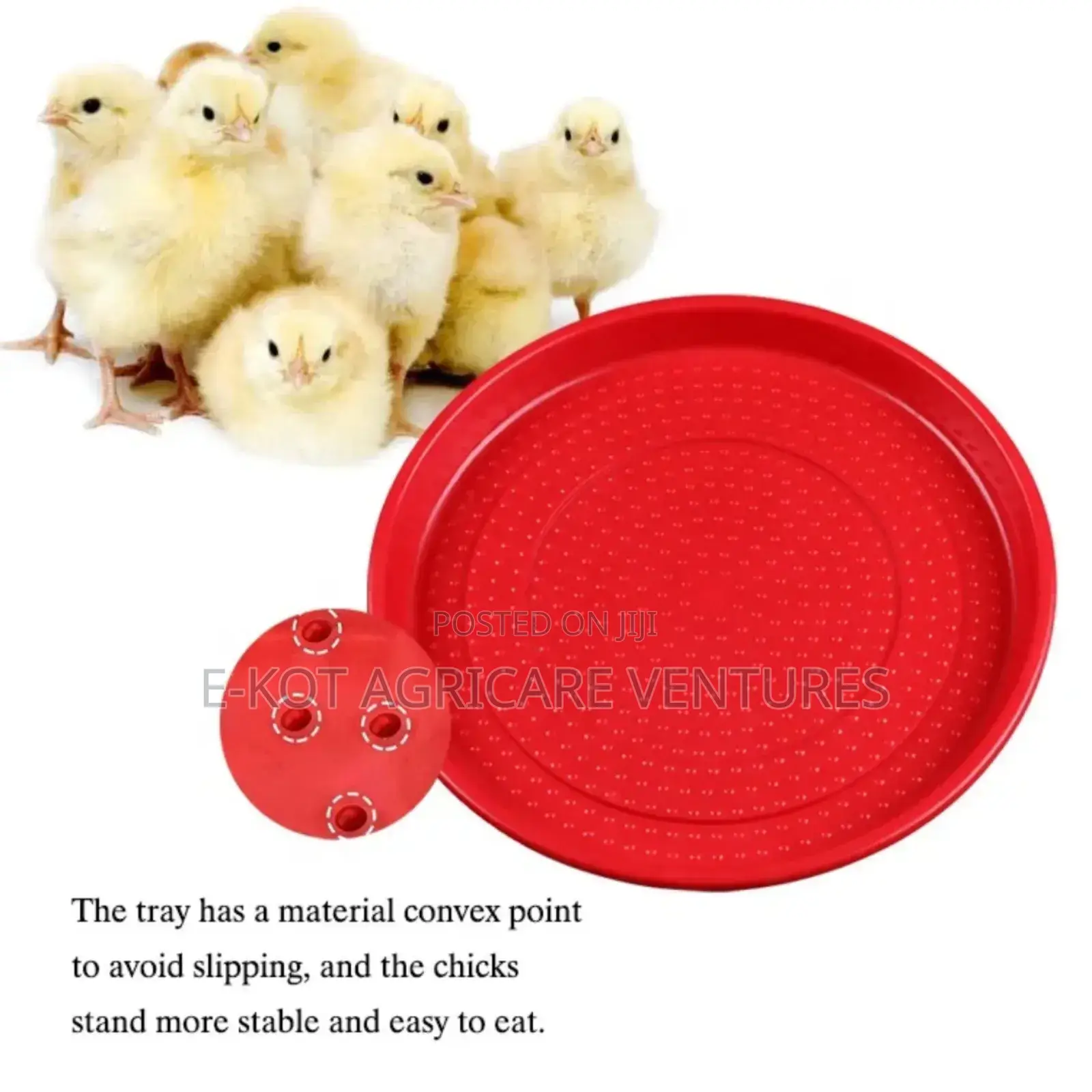 Chicken Feeder Trays