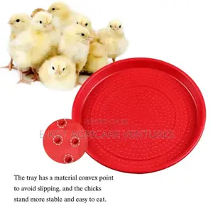 Chicken Feeder Trays