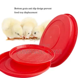 Chicken Feeder Trays