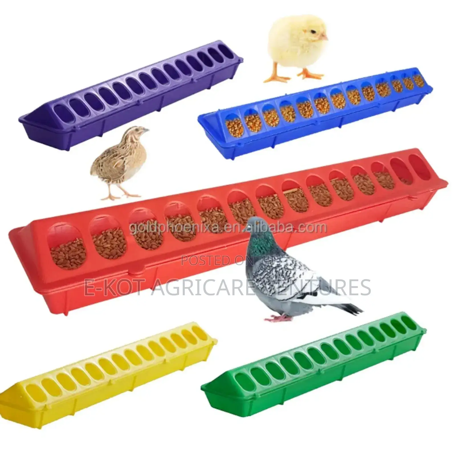 Chicken Feeder Line
