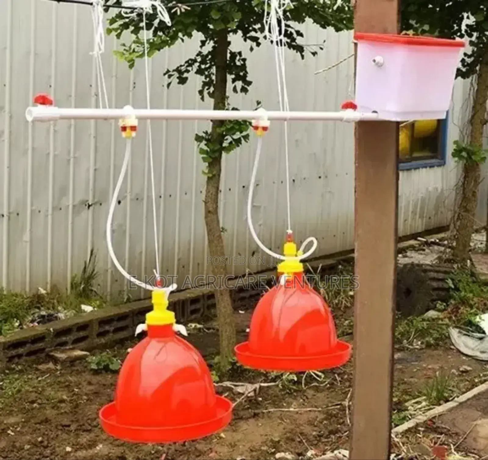 Automatic Drinker for Chicken