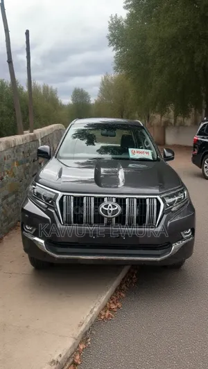 New Toyota Land Cruiser 2022 Gray