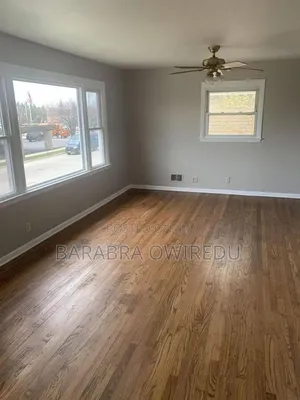 Doors Look I Love Ceiling Profession Plywood