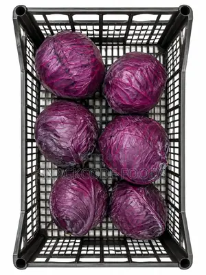 Cabbage Red