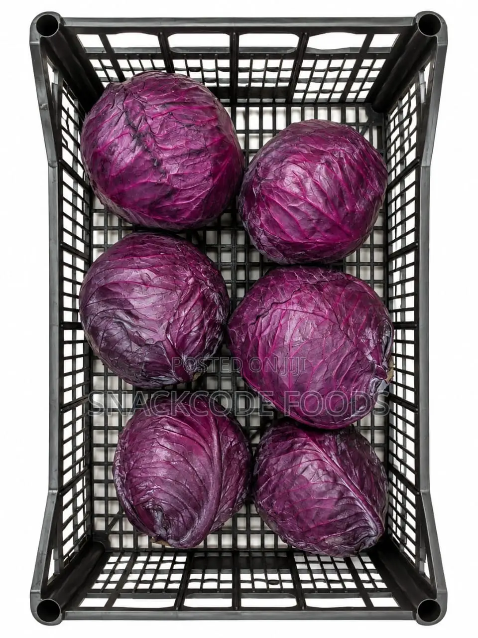Cabbage Red