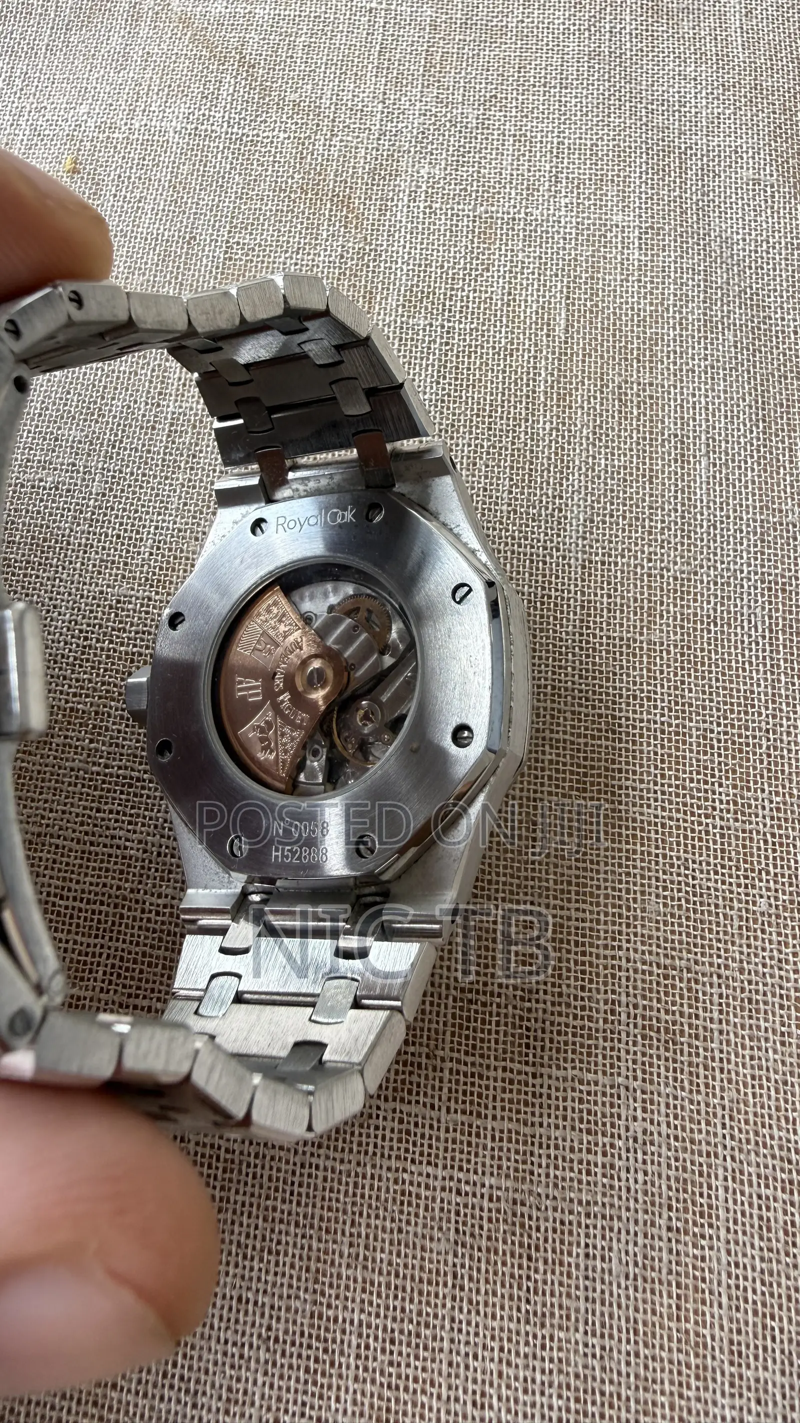 Audemars Piguet Ap Royal Oak - Frosted
