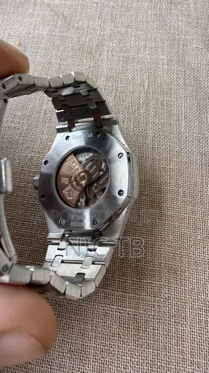 Audemars Piguet Ap Royal Oak - Frosted