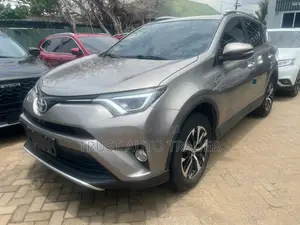 Toyota RAV4 2018 Gray
