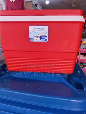 Quality 22lts Penguin Ice Chest Cooler