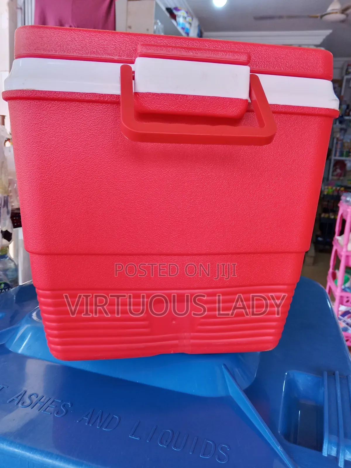 Quality 22lts Penguin Ice Chest Cooler