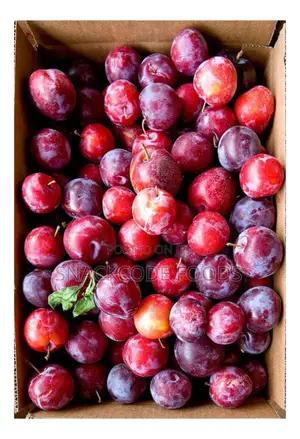 Fresh Plum
