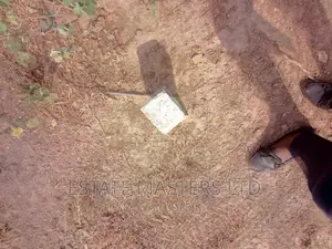 Land Investment Saves The Future