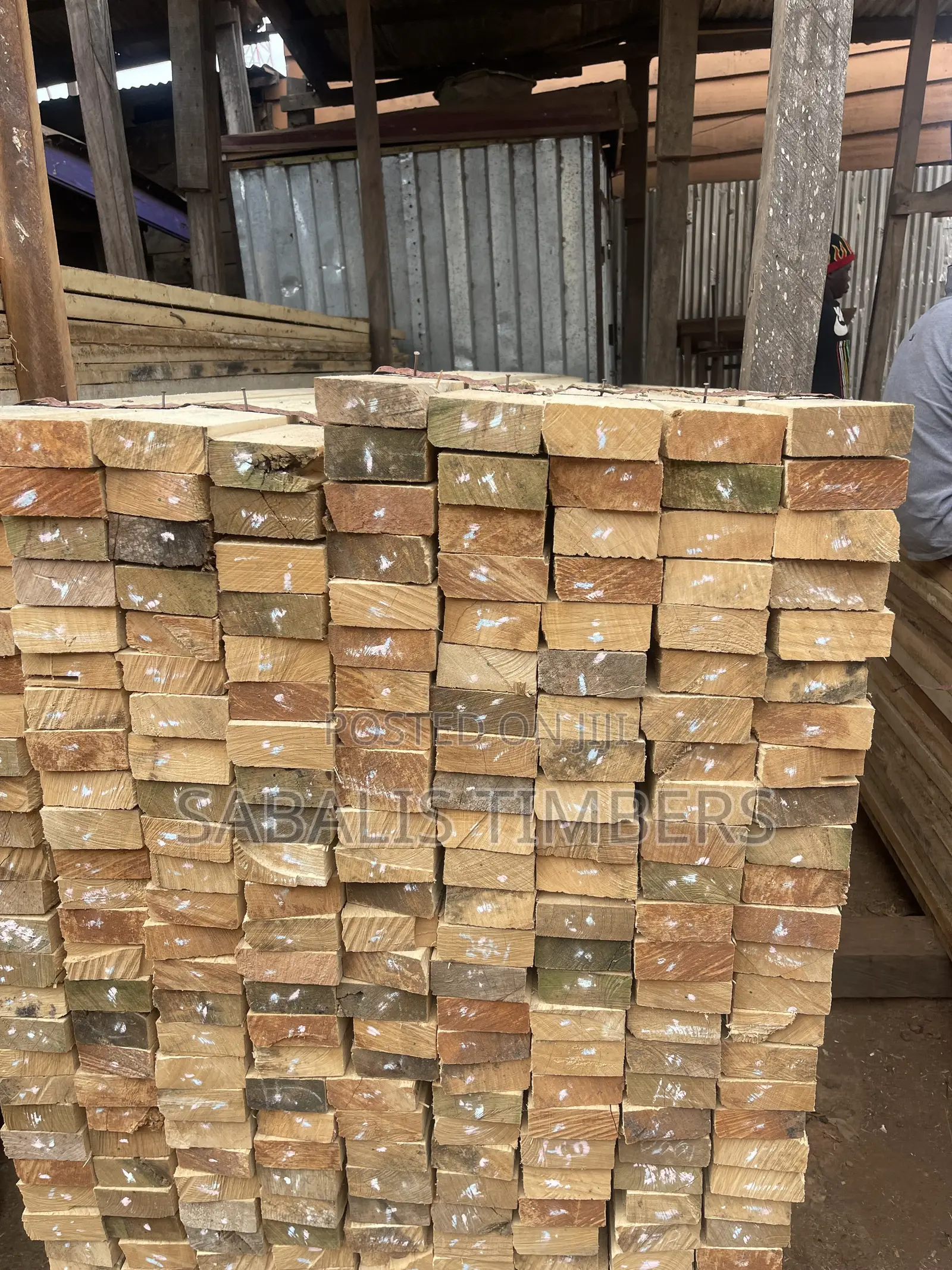 Pure Wawa 2x4 for Decking (SawMail Bushmail)