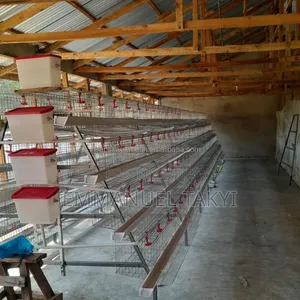 Chicken Cage a-Type 4-Tier