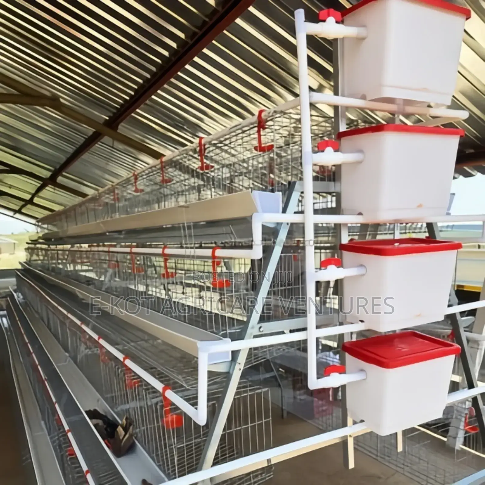 Chicken Cage a-Type 4-Tier