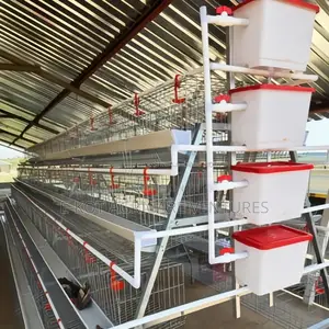 Chicken Cage a-Type 4-Tier