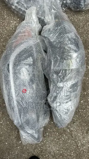 Elantra 2017 Headlight Pair