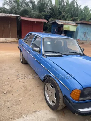 Mercedes-Benz W123 1980 Blue
