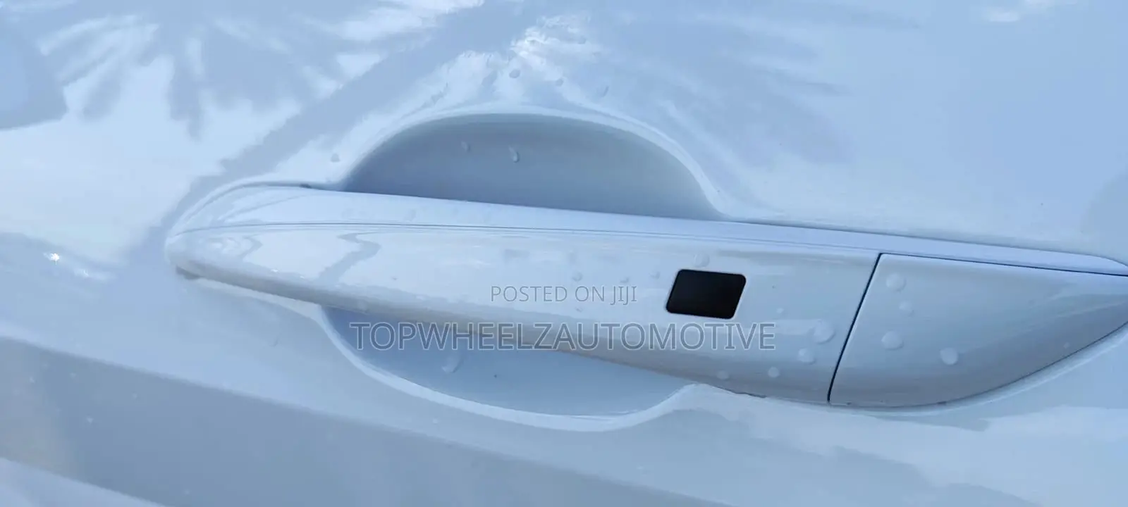 Hyundai Elantra 2025 White