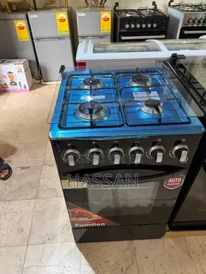 4in1 Electric Gas Stove