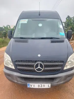 Mercedes-Benz Sprinter 2012 Blue