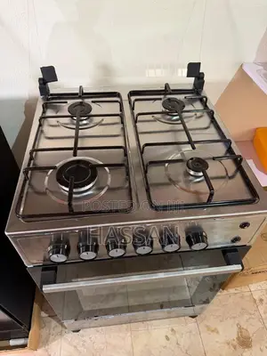 Electric Gas Stove