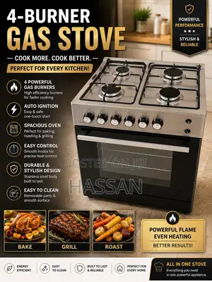 Electric Gas Stove