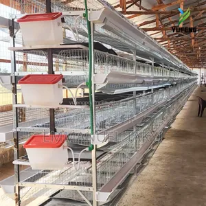 Chicken Cage H-Type 4-Tier