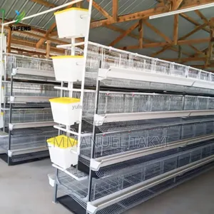Chicken Cage H-Type 4-Tier