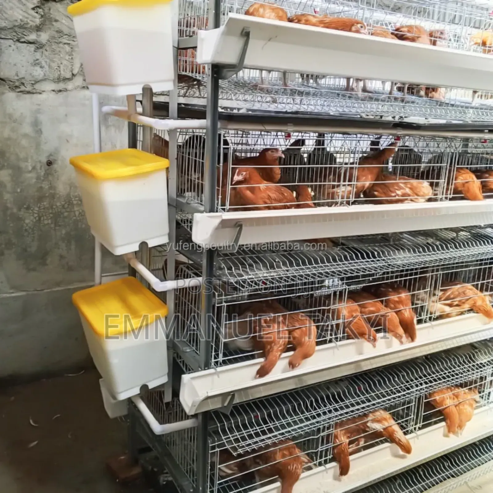 Chicken Cage H-Type 4-Tier