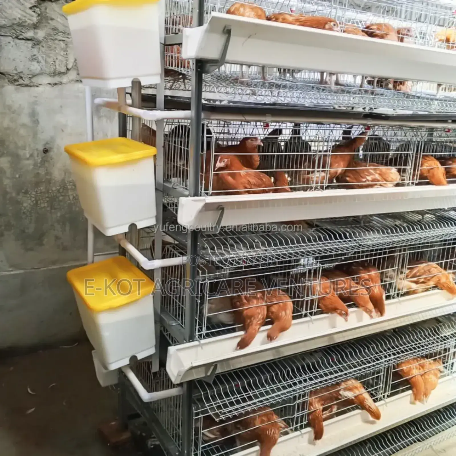 Chicken Cage H-Type 4-Tier
