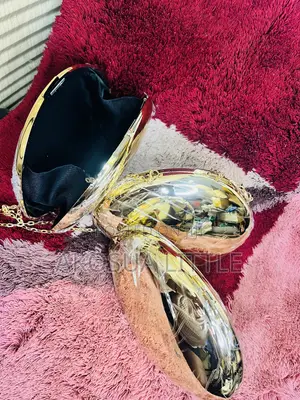 Acrylic Clutch Bag