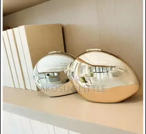Acrylic Clutch Bag