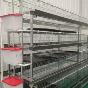 Chicken Cage H-Type 3-Tier