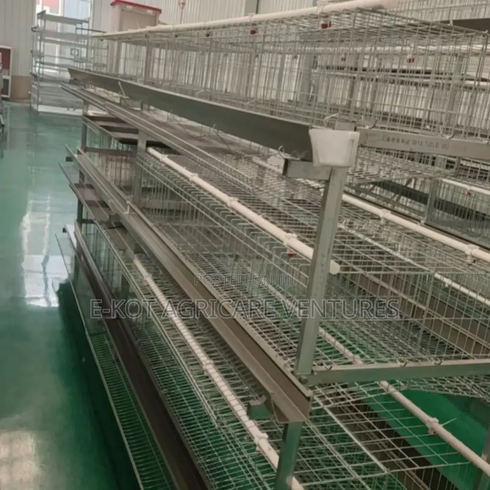 Chicken Cage H-Type 3-Tier
