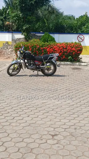 Haojin HJ125-25 2023 Brown