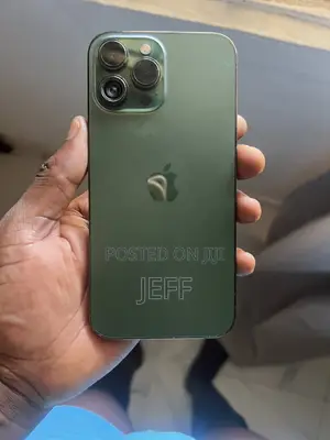 Apple iPhone 13 Pro Max 256 GB Green