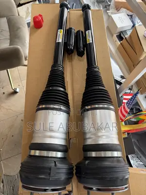 Back Balloons Shocks