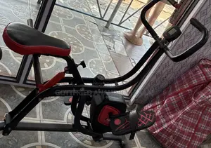 Black and Red Dual-Action Stationary Exercise Bike