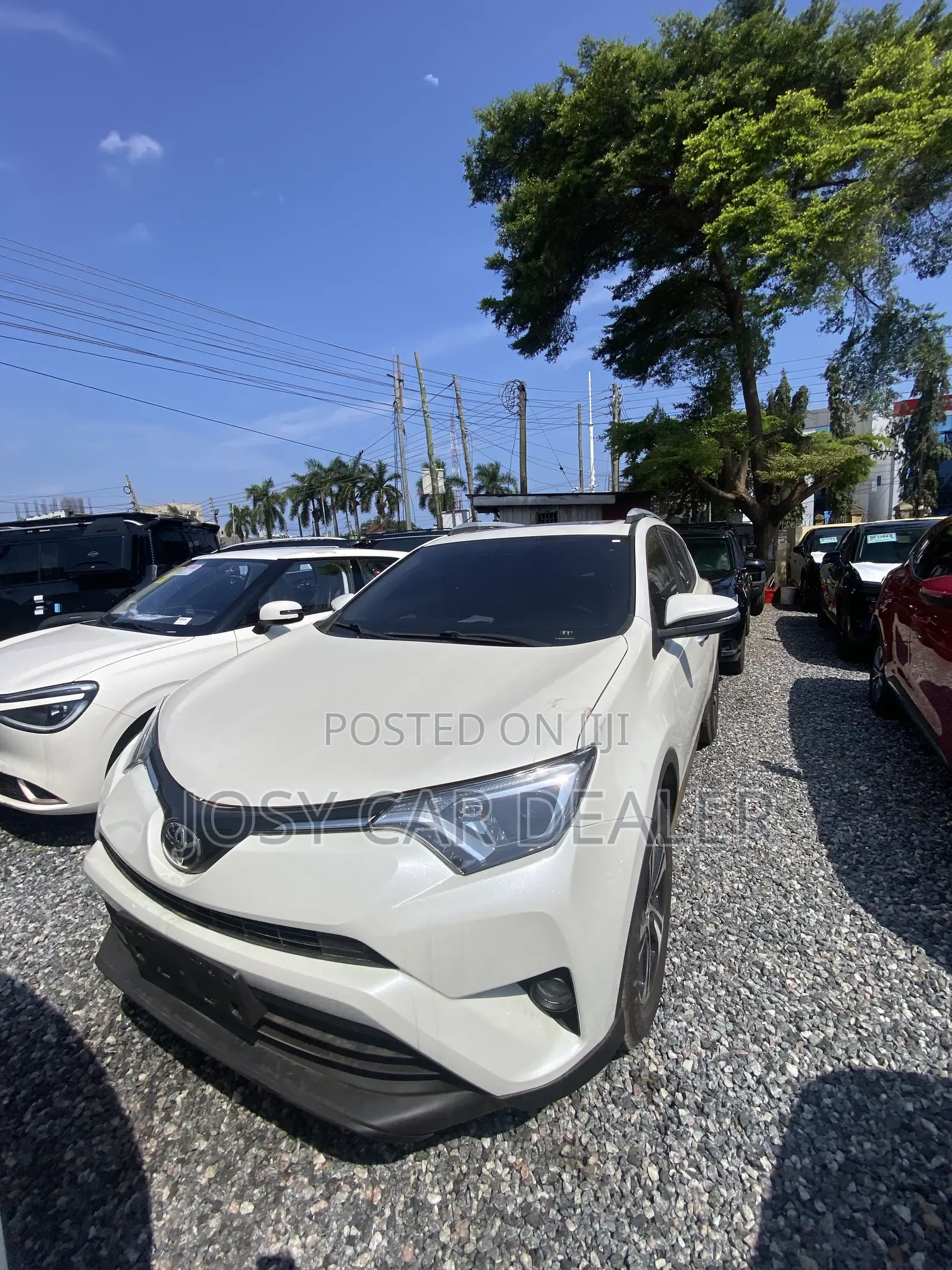 Toyota RAV4 XLE AWD (2.5L 4cyl 6A) 2016 White